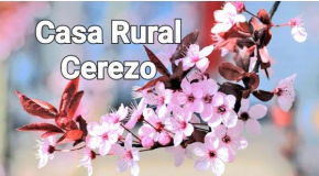 ALOJAMIENTO RURAL CEREZO